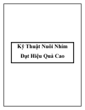 Kỹ Thuật Nuôi Nhím Đạt Hiệu Quả Cao