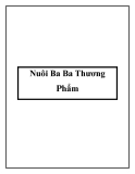 Nuôi Ba Ba Thương Phẩm