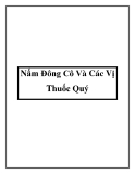 Nấm Đông Cô Và Các Vị Thuốc Quý