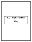 Kỹ Thuật Nuôi Heo Rừng