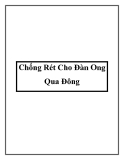 Chống Rét Cho Đàn Ong Qua Đông