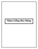 Nhân Giống Heo Rừng