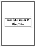 Nuôi Ếch Thái Lan Ở Đồng Tháp