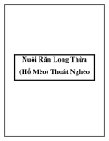 Nuôi Rắn Long Thừa (Hổ Mèo) Thoát Nghèo