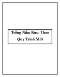 Trồng Nấm Rơm Theo Quy Trình Mới