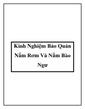Kinh Nghiệm Bảo Quản Nấm Rơm Và Nấm Bào Ngư