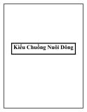 Kiểu Chuồng Nuôi Dông