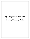 Kỹ Thuật Nuôi Rùa Sinh Trưởng Thương Phẩm