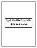 Nghề Săn Rắn May Mắn - Rủi Ro Liền Kề