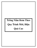 Trồng Nấm Rơm Theo Quy Trình Mới, Hiệu Quả Cao