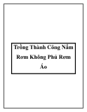 Trồng Thành Công Nấm Rơm Không Phủ Rơm Áo