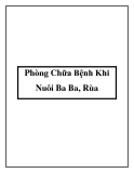 Phòng Chữa Bệnh Khi Nuôi Ba Ba, Rùa