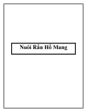 Nuôi Rắn Hổ Mang