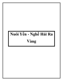 Nuôi Yến - Nghề Hái Ra Vàng