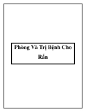 Phòng Và Trị Bệnh Cho Rắn