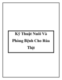 Kỹ Thuật Nuôi Và Phòng Bệnh Cho Rùa Thịt