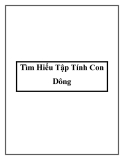 Tìm Hiểu Tập Tính Con Dông