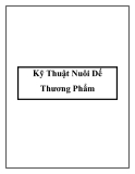 Kỹ Thuật Nuôi Dế Thương Phẩm