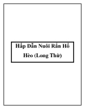 Hấp Dẫn Nuôi Rắn Hổ Hèo (Long Thừ)