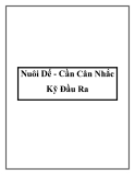 Nuôi Dế - Cần Cân Nhắc Kỹ Đầu Ra