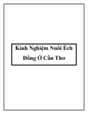 Kinh Nghiệm Nuôi Ếch Đồng Ở Cần Thơ