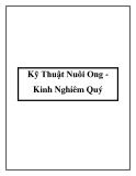 Kỹ Thuật Nuôi Ong - Kinh Nghiêm Quý