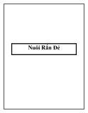 Nuôi Rắn Đẻ