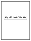 Xây Nhà Nuôi Chim Yến