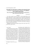 Ảnh hưởng của phân sinh học tới bệnh tuyến trùng nốt sưng (Meloidogyne incognita Kofoid et White, 1919/Chitwood, 1949) trên cà chua vụ Đông xuân 2002 - 2003