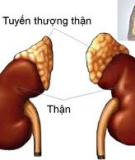 SUY THƯỢNG THẬN MẠN TÍNH