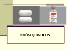 Bài giảng Dược lý chuyên đề - Nhóm Quinolon