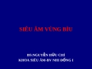 SIÊU ÂM VÙNG BÌU