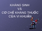 Bài giảng: KHÁNG SINH VÀ CƠ CHẾ KHÁNG THUỐC CỦA VI KHUẨN