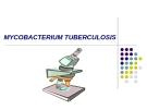 MYCOBACTERIUM TUBERCULOSIS