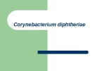 Corynebacterium diphtheriae