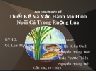 Thiết Kế Và Vận Hành Mô Hình Nuôi Cá Trong Ruộng Lúa