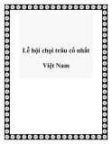 Lễ hội chọi trâu cổ nhất Việt Nam