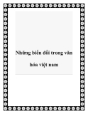 Những biến đổi trong văn hóa việt nam