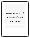 Văn hóa Nõ Nường : LỄ HỘI NÕ NƯỜNG Ở CÁC LÀNG