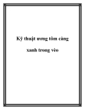 Kỹ thuật ương tôm càng xanh trong vèo