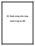 Kỹ thuật ương tôm càng xanh trong ao đất