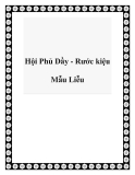 Hội Phủ Dầy - Rước kiệu Mẫu Liễu