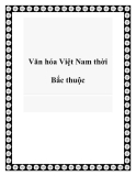  Tiểu luận về văn hóa Việt Nam thời Bắc thuộc