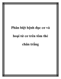 Phân biệt bệnh đục cơ và hoại tử cơ trên tôm thẻ chân trắng