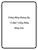 Trống Đồng Hoàng Hạ "Á Hậu" trống Đồng Đông Sơn