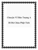 Chuyện Về Bảo Tượng A Di Đà Chùa Phật Tích