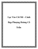 Lạc Vào Cõi Mê - Cảnh Đẹp Phượng Hoàng Cổ Trấn