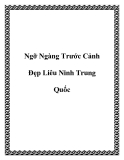 Ngỡ Ngàng Trước Cảnh Đẹp Liêu Ninh Trung Quốc