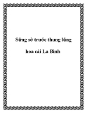 Sững sờ trước thung lũng hoa cải La Bình