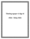 Thưởng ngoạn vẻ đẹp tô châu - hàng châu